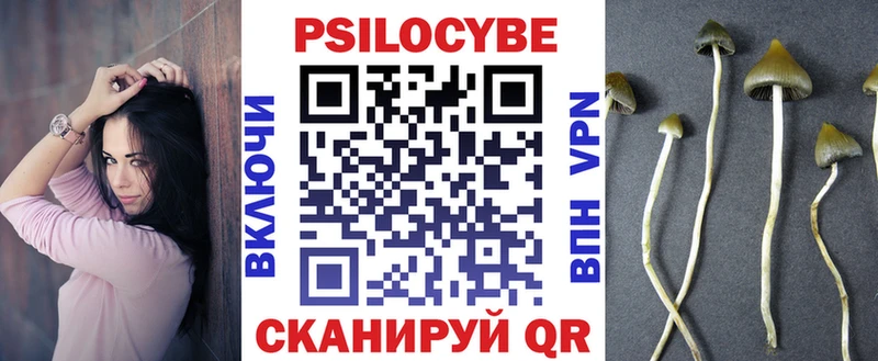 Галлюциногенные грибы Psilocybe  Купить  Лаишево 